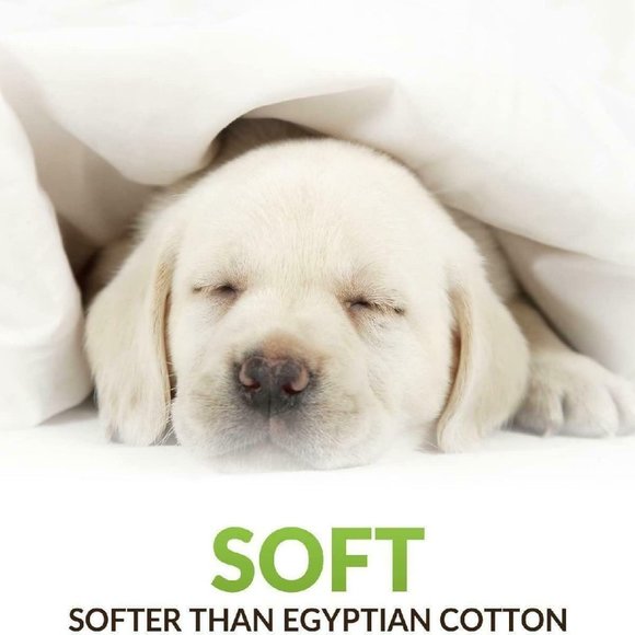 Luxury Bamboo Bed Sheet Set - Picture 2 of 11